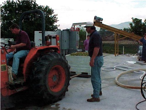 Marshall Stuart and Bill Way on the crush pad at Stuart Cellars, 1996