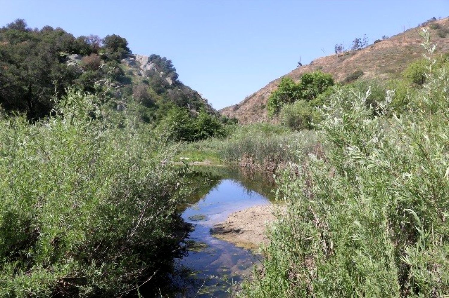 A creek running through the Temecula Valley hills, present day